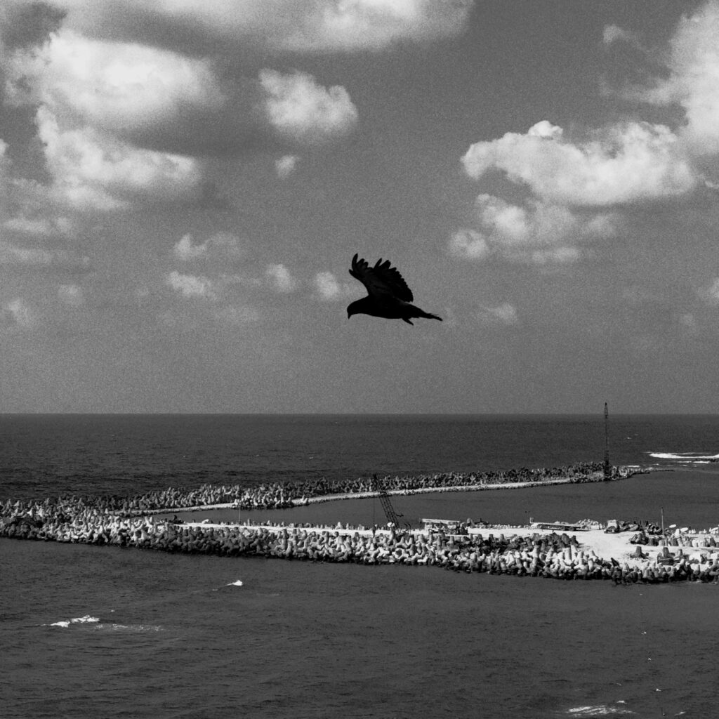 Alexandria, Egypt 2021.